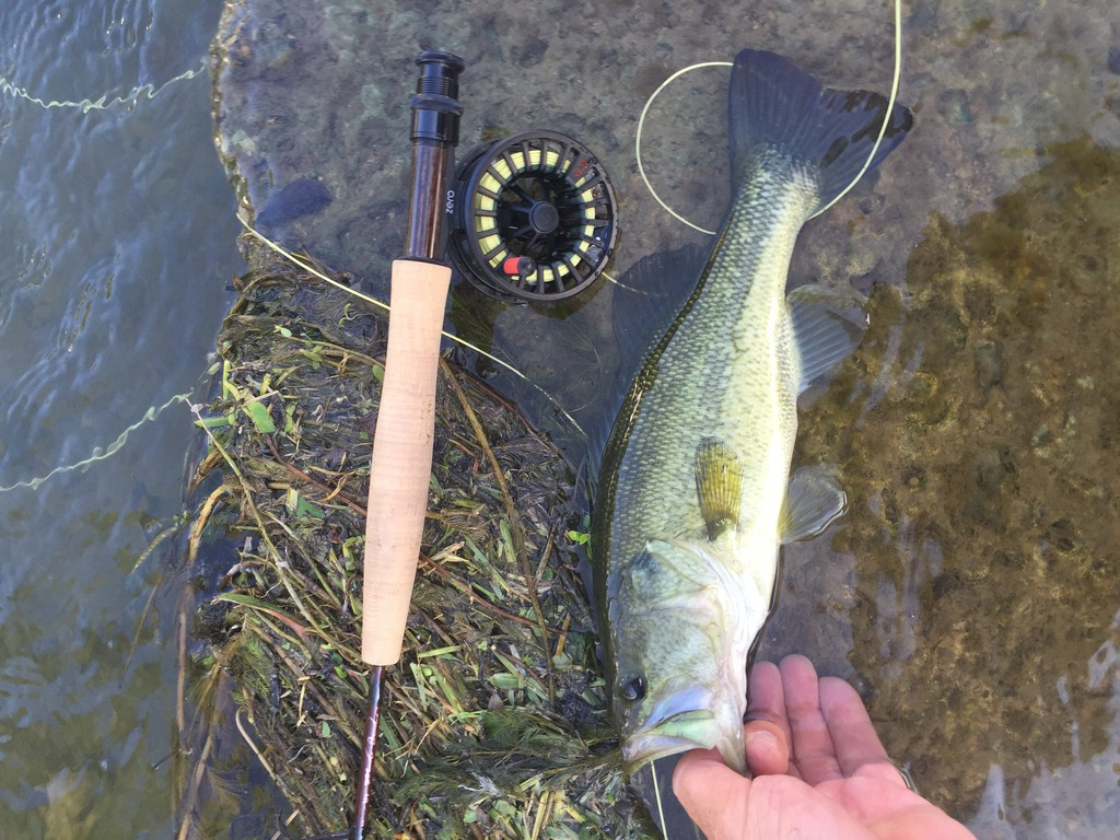 Ultralight Fly Fishing • Sulphur Creek Lampasas TX 27 August 2016
